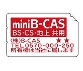 mini B-CASカード