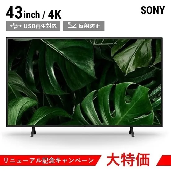 本体画像