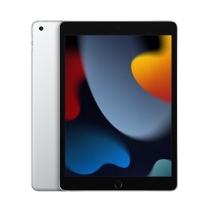 iPad（セルラーモデル）